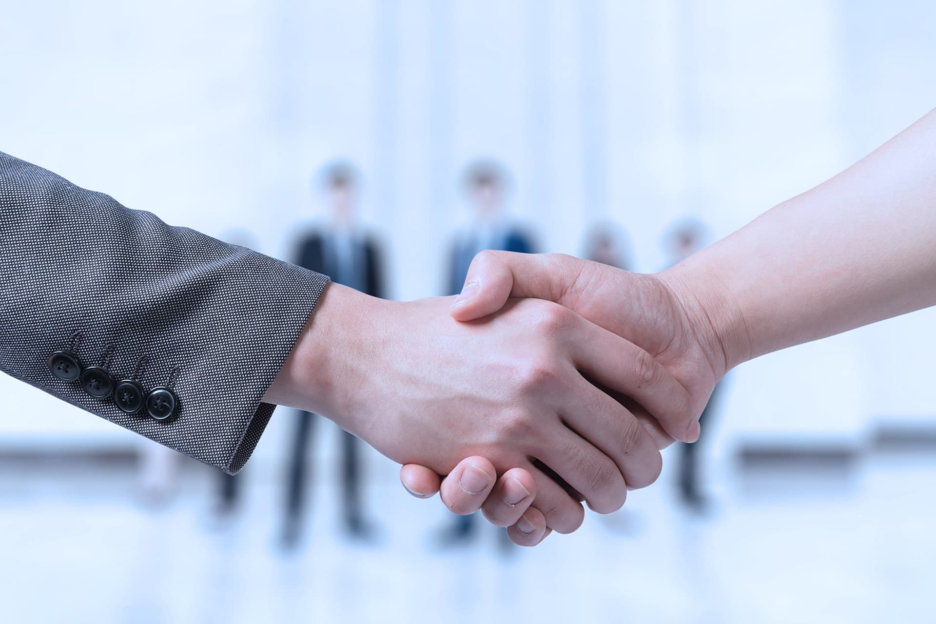 Zipper product detail visual